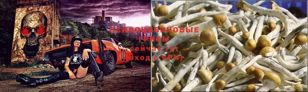 первитин Алексин