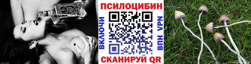 ссылка на мегу рабочий сайт Карасук Галлюциногенные грибы мицелий