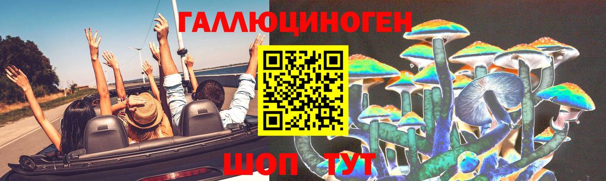 Галлюциногенные грибы Magic Shrooms  Вход с VPN  Карасук 